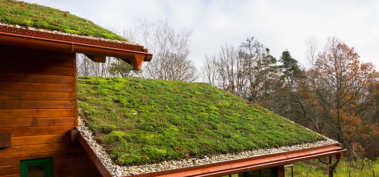 Orange Residential Green Roof